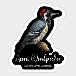 Acorn Woodpecker - The Bird Lover Collection Sticker